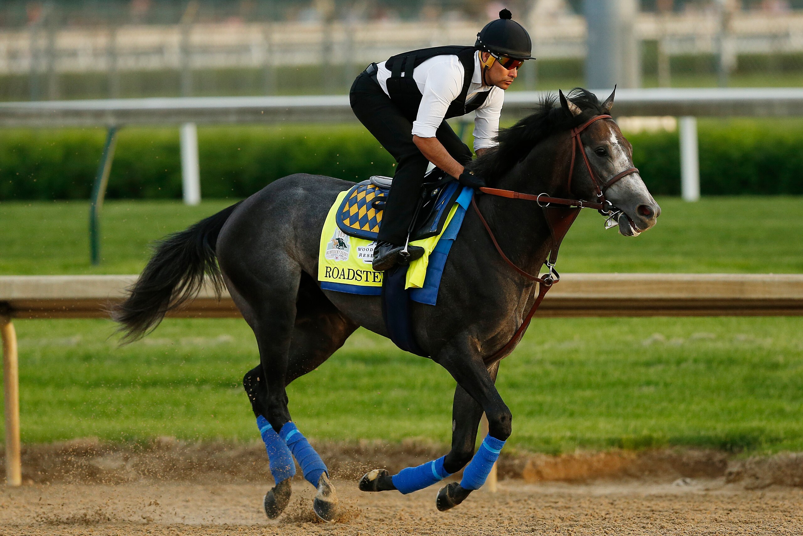 LOUISVILLE, KENTUCKY - MAY 01:  Roadster trains on the track during morning workouts in preparation for the 145th running of the Kentucky Derby at Churchill Downs on May 1, 2019 in Louisville, Kentucky. (Photo by Michael Reaves/Getty Images)