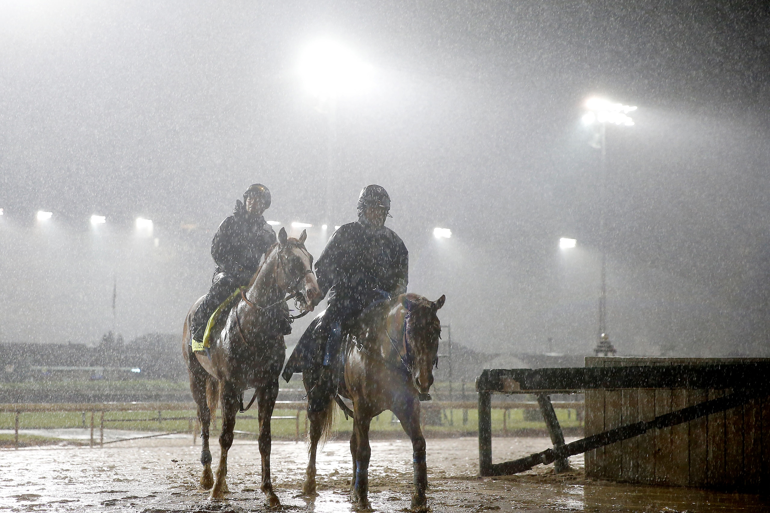 LOUISVILLE, KENTUCKY - MAY 03: Improbable is led back to the barn area after morning workouts in preparation for the 145th running of the Kentucky Derby at Churchill Downs on May 3, 2019 in Louisville, Kentucky. (Photo by Michael Reaves/Getty Images)