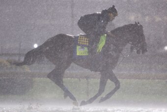 LOUISVILLE, KENTUCKY - MAY 03: Game Winner trains on the track during morning workouts in preparation for the 145th running of the Kentucky Derby at Churchill Downs on May 3, 2019 in Louisville, Kentucky. (Photo by Michael Reaves/Getty Images)