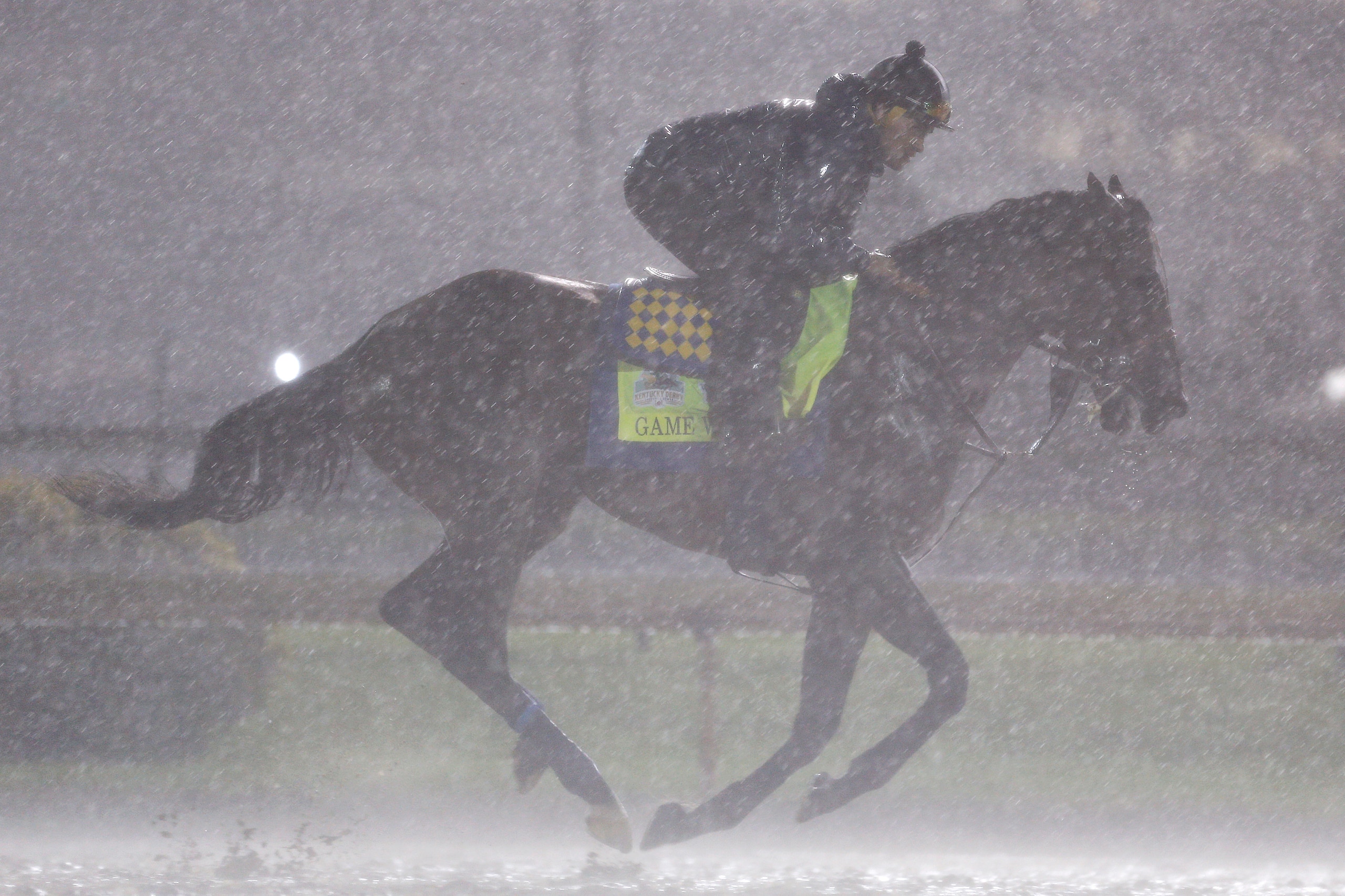 LOUISVILLE, KENTUCKY - MAY 03: Game Winner trains on the track during morning workouts in preparation for the 145th running of the Kentucky Derby at Churchill Downs on May 3, 2019 in Louisville, Kentucky. (Photo by Michael Reaves/Getty Images)