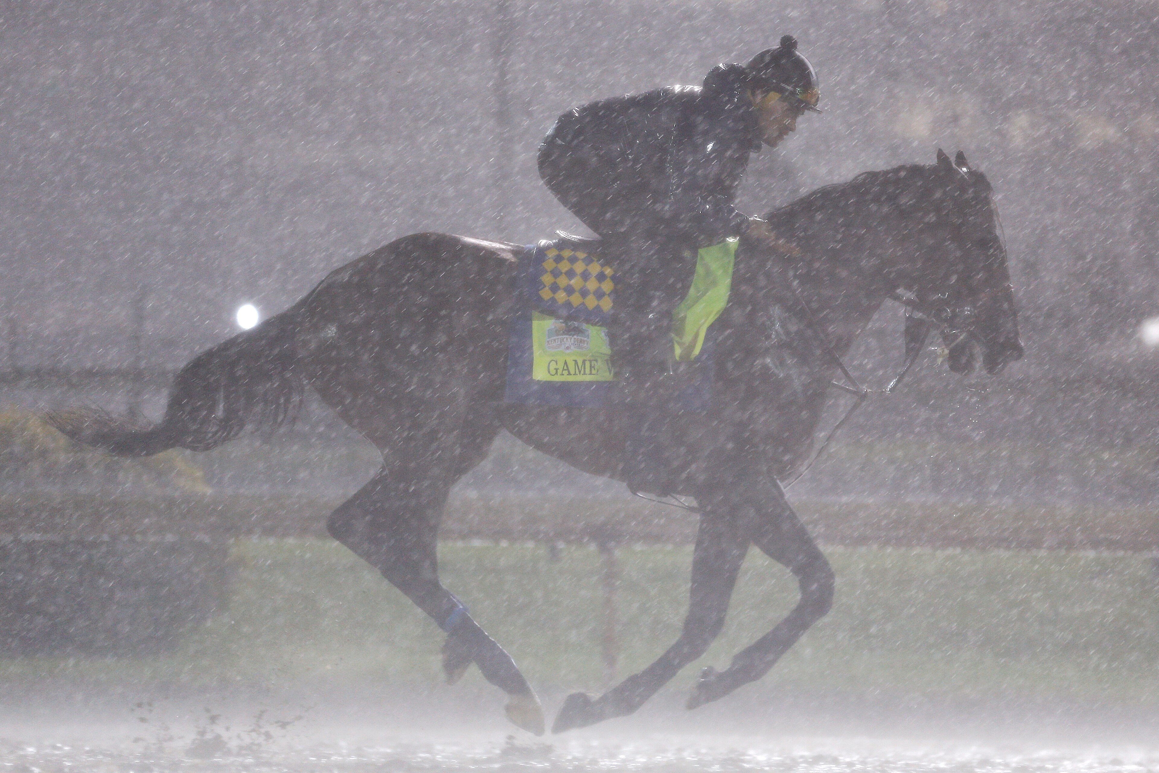 LOUISVILLE, KENTUCKY - MAY 03: Game Winner trains on the track during morning workouts in preparation for the 145th running of the Kentucky Derby at Churchill Downs on May 3, 2019 in Louisville, Kentucky. (Photo by Michael Reaves/Getty Images)