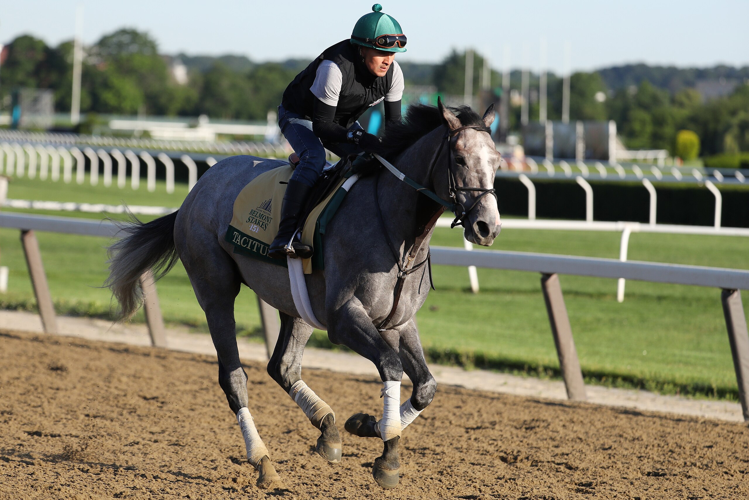 ELMONT, NEW YORK - JUNE 04:  Belmont Stakes contender Tacitus trains prior to the 151st running of the Belmont Stakes at Belmont Park on June 04, 2019 in Elmont, New York. (Photo by Al Bello/Getty Images)