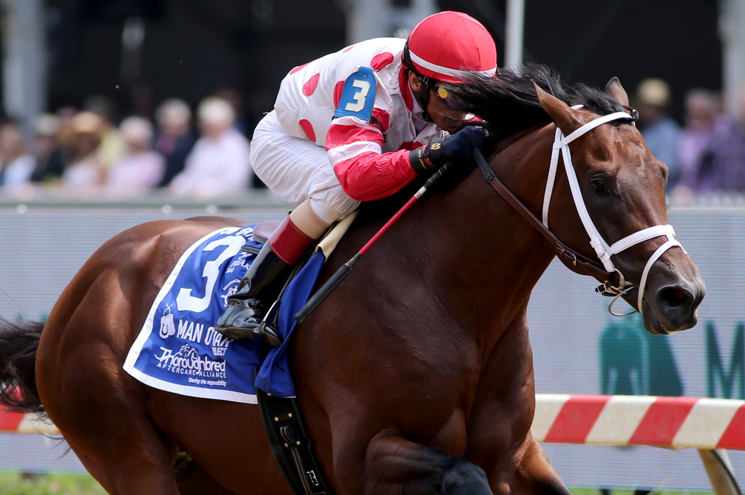 BALTIMORE, MARYLAND - MAY 18: King for a Day with John Velazquez up, wins the Sir Barton Stakes  at Pimlico Race Course on May 18, 2019 in Baltimore, Maryland (Photo by Horsephotos/Getty Images)