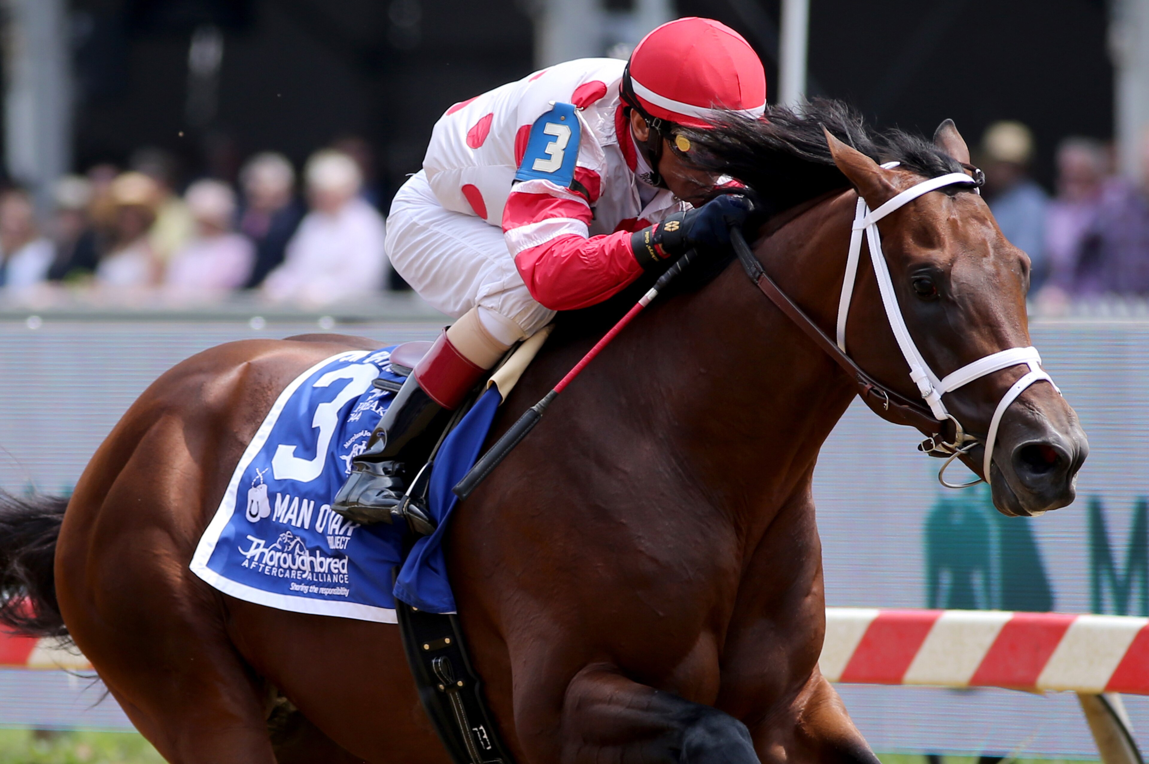 BALTIMORE, MARYLAND - MAY 18: King for a Day with John Velazquez up, wins the Sir Barton Stakes  at Pimlico Race Course on May 18, 2019 in Baltimore, Maryland (Photo by Horsephotos/Getty Images)