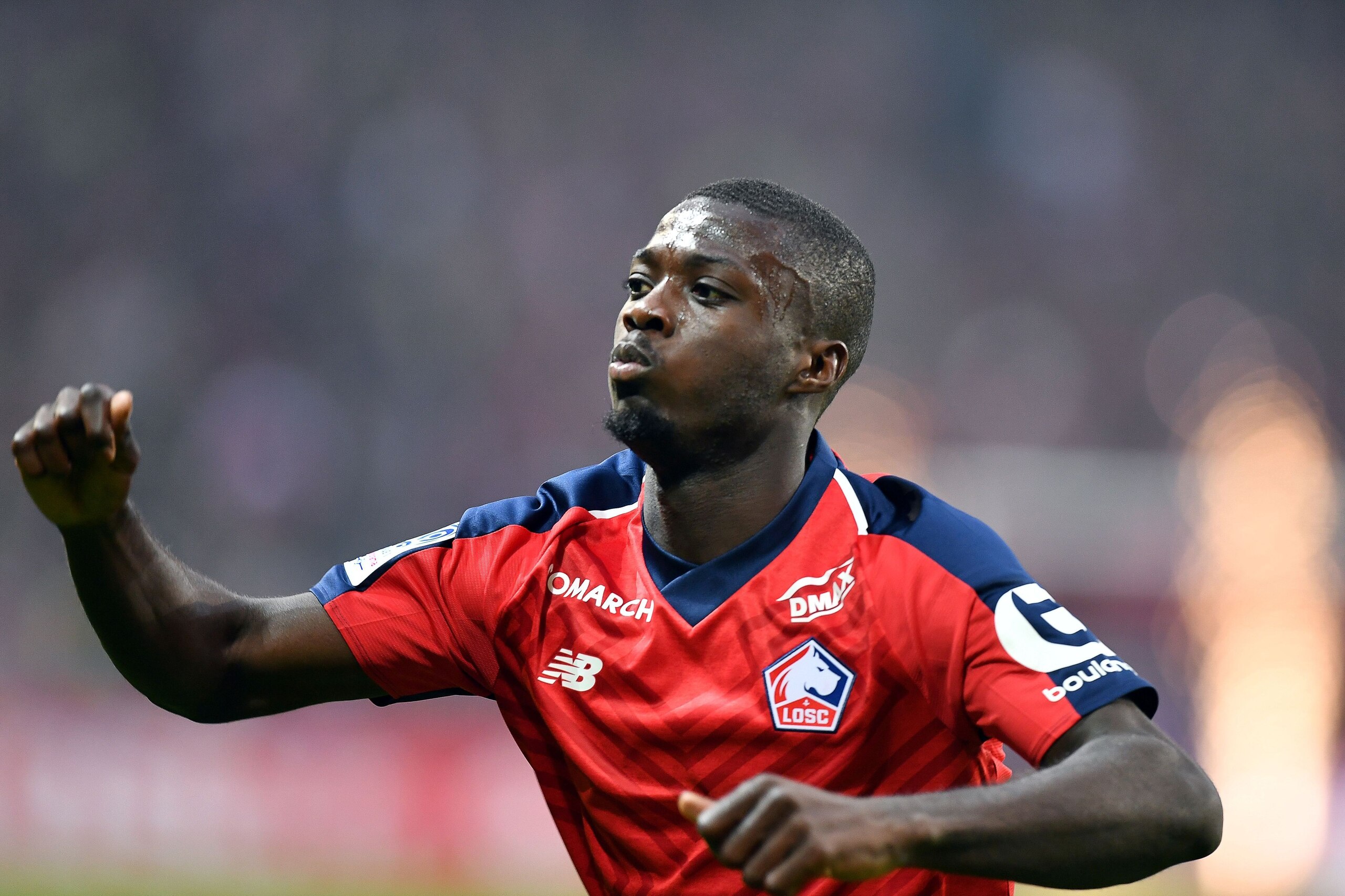 Lille's Ivorian forward Nicolas Pepe celebrates  after scoring a goal during the French L1 football match between Lille (LOSC) and Angers (SCO) at the Pierre-Mauroy Stadium in Villeneuve d'Ascq, near Lille, northern France, on May 18 2019. (Photo by DENIS