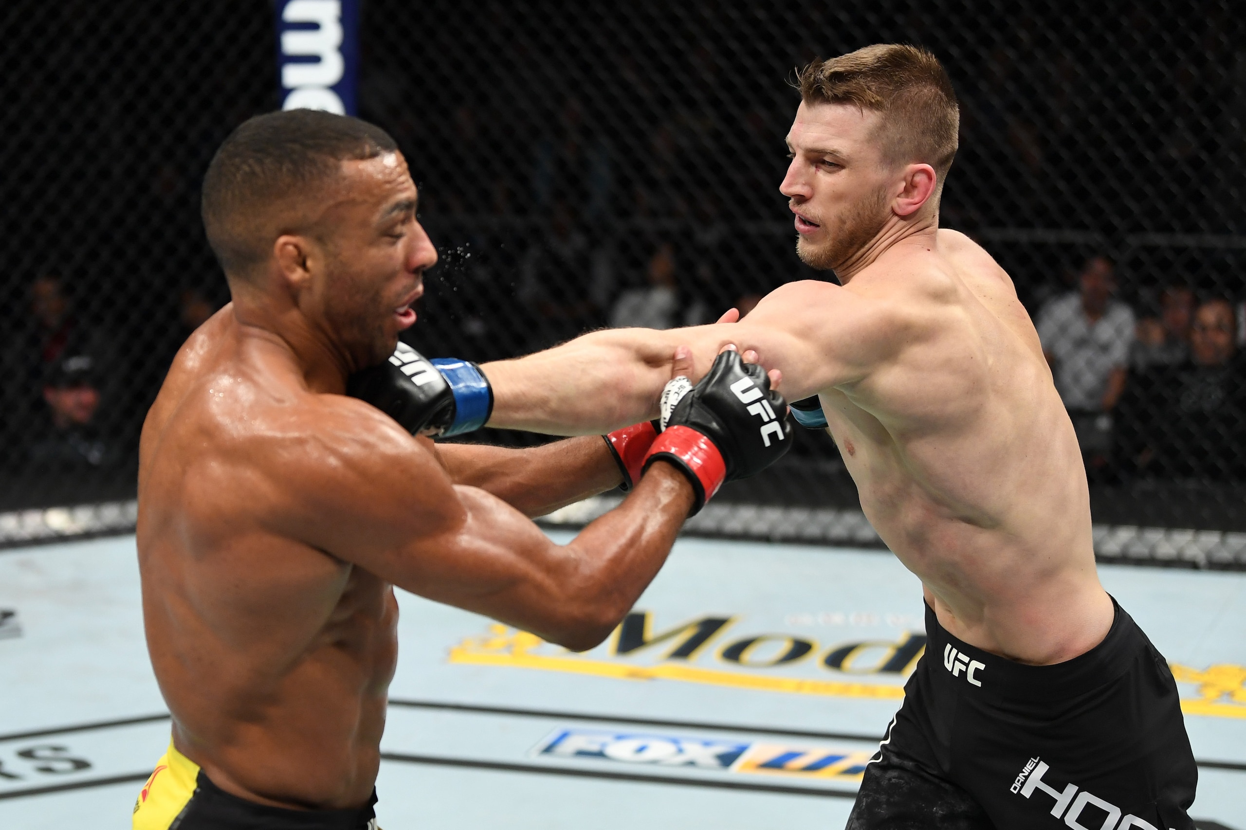 MILWAUKEE, WISCONSIN - DECEMBER 15:  (R-L) Dan Hooker of New Zealand punches Edson Barboza of Brazil in their lightweight bout during the UFC Fight Night event at Fiserv Forum on December 15, 2018 in Milwaukee, Wisconsin. (Photo by Jeff Bottari/Zuffa LLC/