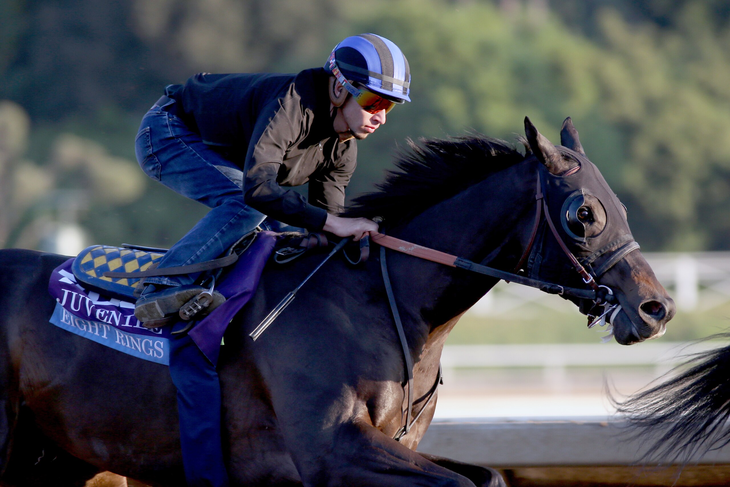 ARCADIA, CALIFORNIA- OCTOBER 27: Eight Rings works with Evin Roman up at Santa Anita Park on October 27, 2019 in Arcadia, California (Photo by Horsephotos/Getty Images)