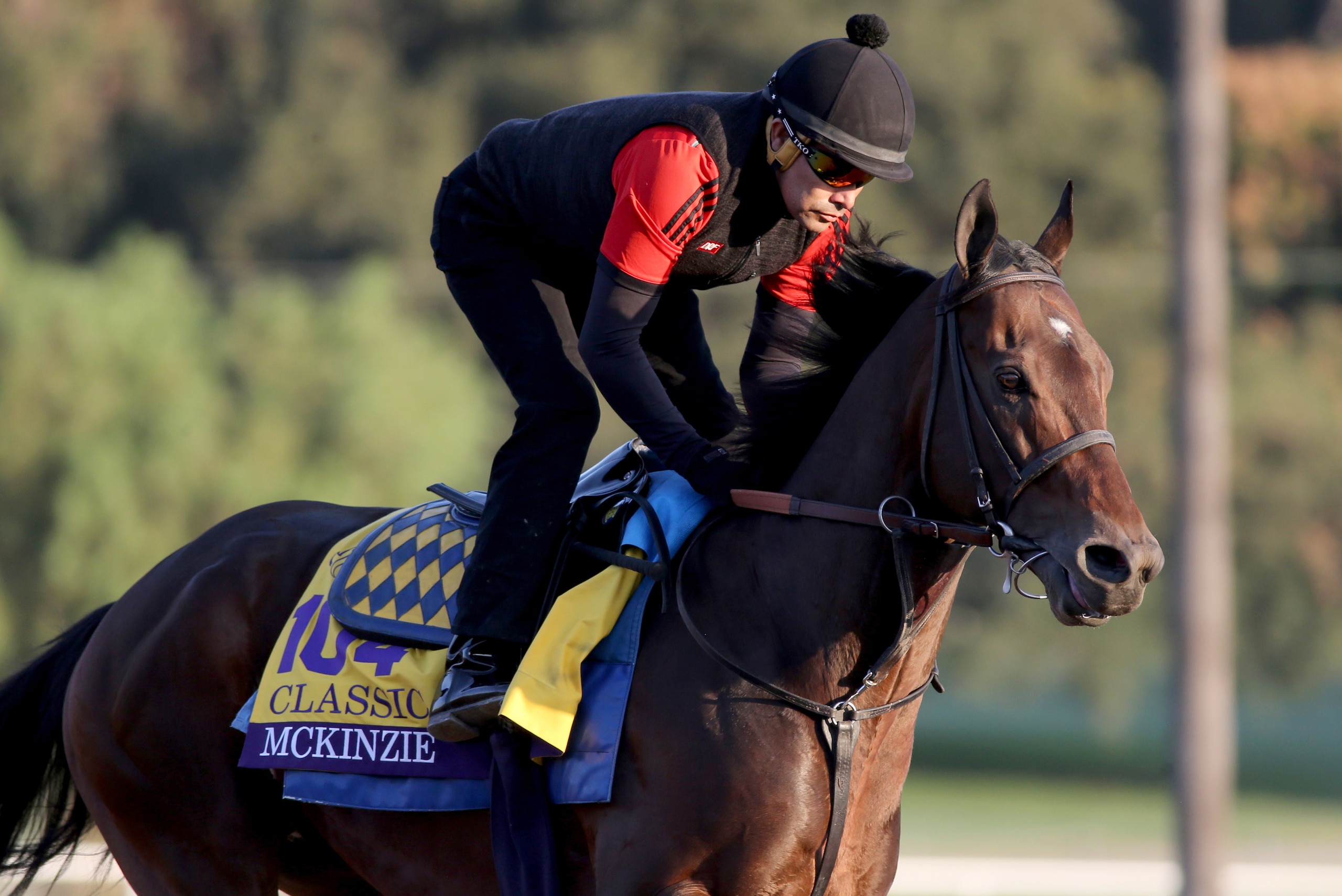 ARCADIA, CALIFORNIA- OCTOBER 27: McKinzie gallops at Santa Anita Park on October 27, 2019 in Arcadia, California (Photo by Horsephotos/Getty Images) ARCADIA, CALIFORNIA- OCTOBER 27: McKinzie gallops at Santa Anita Park on October 27, 2019 in Arcadia, California (Photo by Horsephotos/Getty Images)