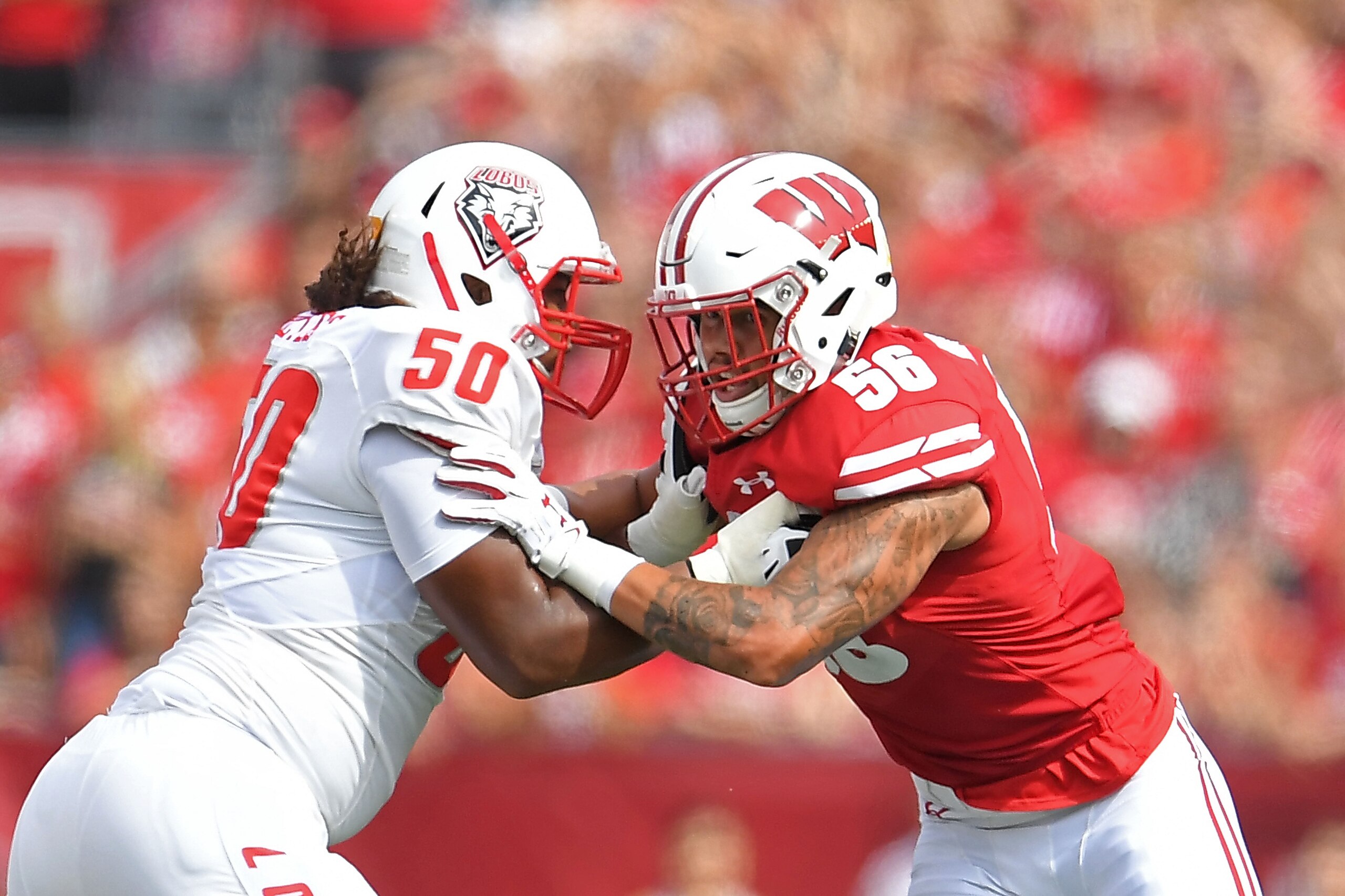 MADISON, WI - SEPTEMBER 08: Zack Baun #56 of the Wisconsin Badgers works against Teton Saltes #50 of the New Mexico Lobos during a game at Camp Randall Stadium on September 8, 2018 in Madison, Wisconsin. Wisconsin defeated New Mexico 45-14. (Photo by S MADISON, WI - SEPTEMBER 08: Zack Baun #56 of the Wisconsin Badgers works against Teton Saltes #50 of the New Mexico Lobos during a game at Camp Randall Stadium on September 8, 2018 in Madison, Wisconsin. Wisconsin defeated New Mexico 45-14. (Photo by S