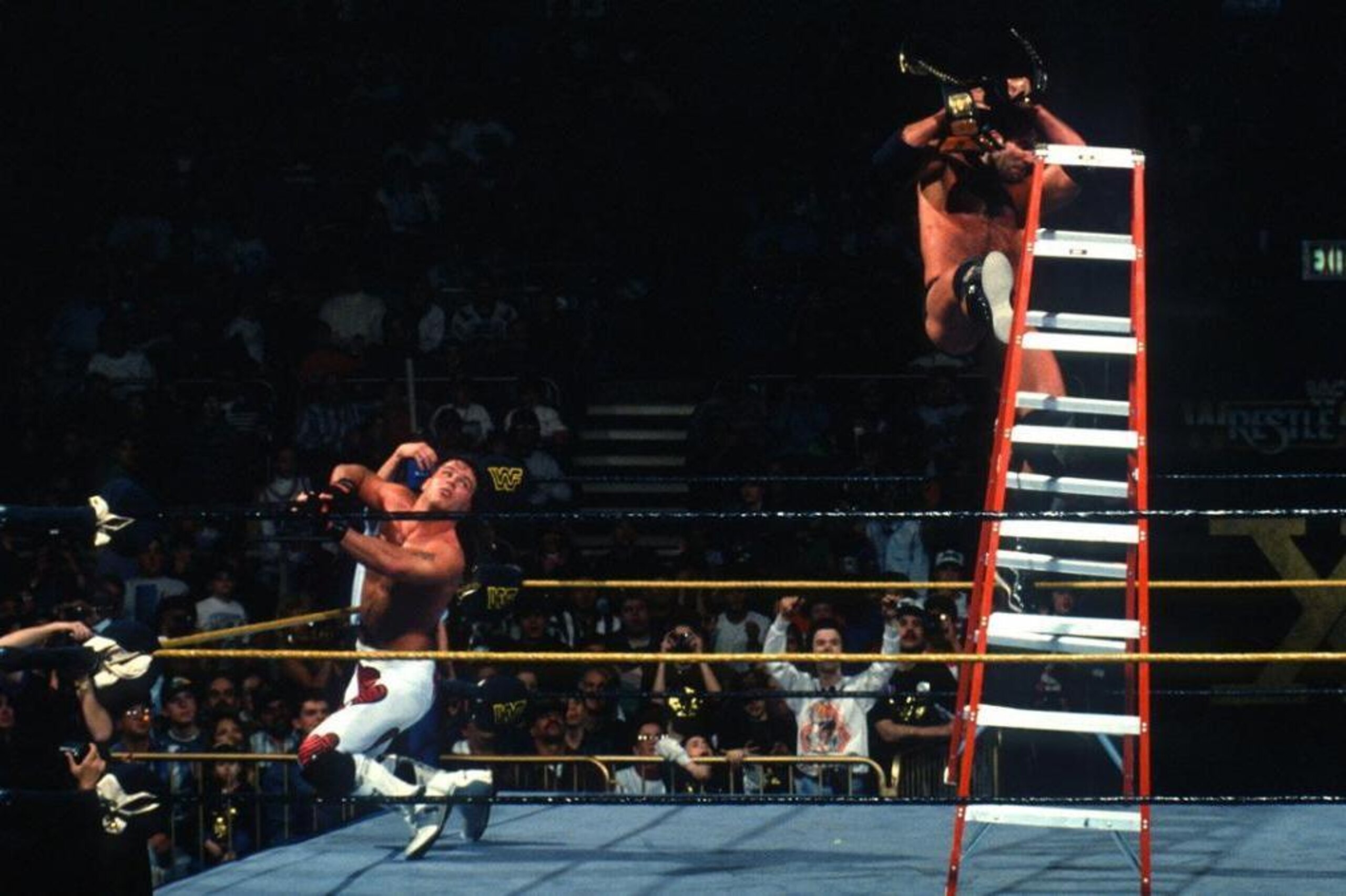Michaels and Ramon at WrestleMania X Michaels and Ramon at WrestleMania X