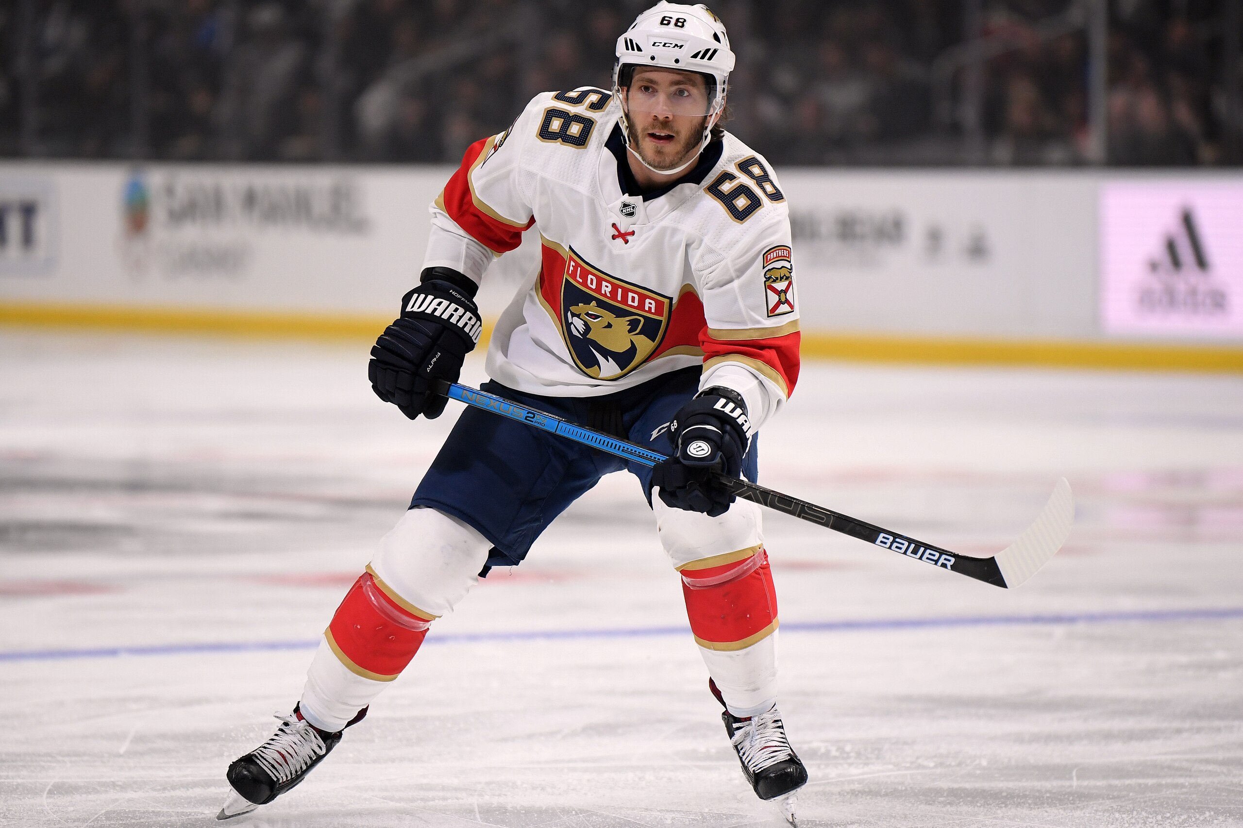 LOS ANGELES, CALIFORNIA - FEBRUARY 20: Mike Hoffman #68 of the Florida Panthers forechecks during a 5-4 Los Angeles Kings win at Staples Center on February 20, 2020 in Los Angeles, California. (Photo by Harry How/Getty Images) LOS ANGELES, CALIFORNIA - FEBRUARY 20: Mike Hoffman #68 of the Florida Panthers forechecks during a 5-4 Los Angeles Kings win at Staples Center on February 20, 2020 in Los Angeles, California. (Photo by Harry How/Getty Images)