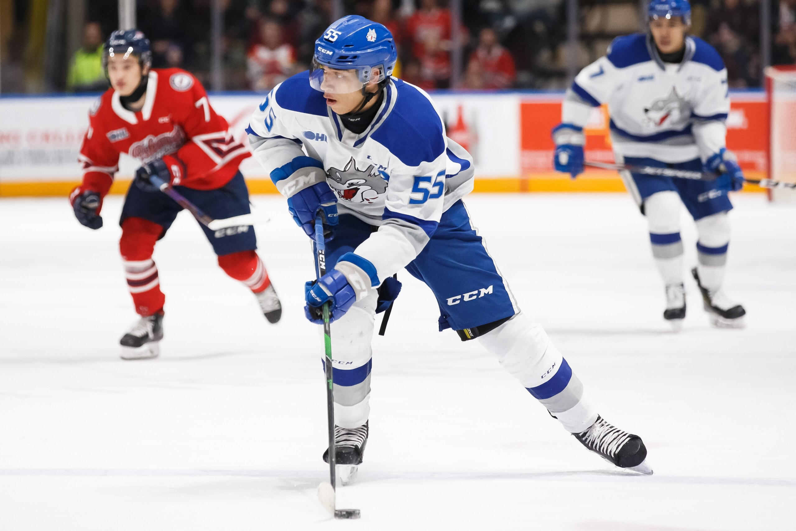 OSHAWA, ON - FEBRUARY 7: Quinton Byfield #55 of the Sudbury Wolves skates with the puck during an OHL game against the Oshawa Generals at the Tribute Communities Centre on February 7, 2020 in Oshawa, Ontario, Canada.  (Photo by Chris Tanouye/Getty Images)