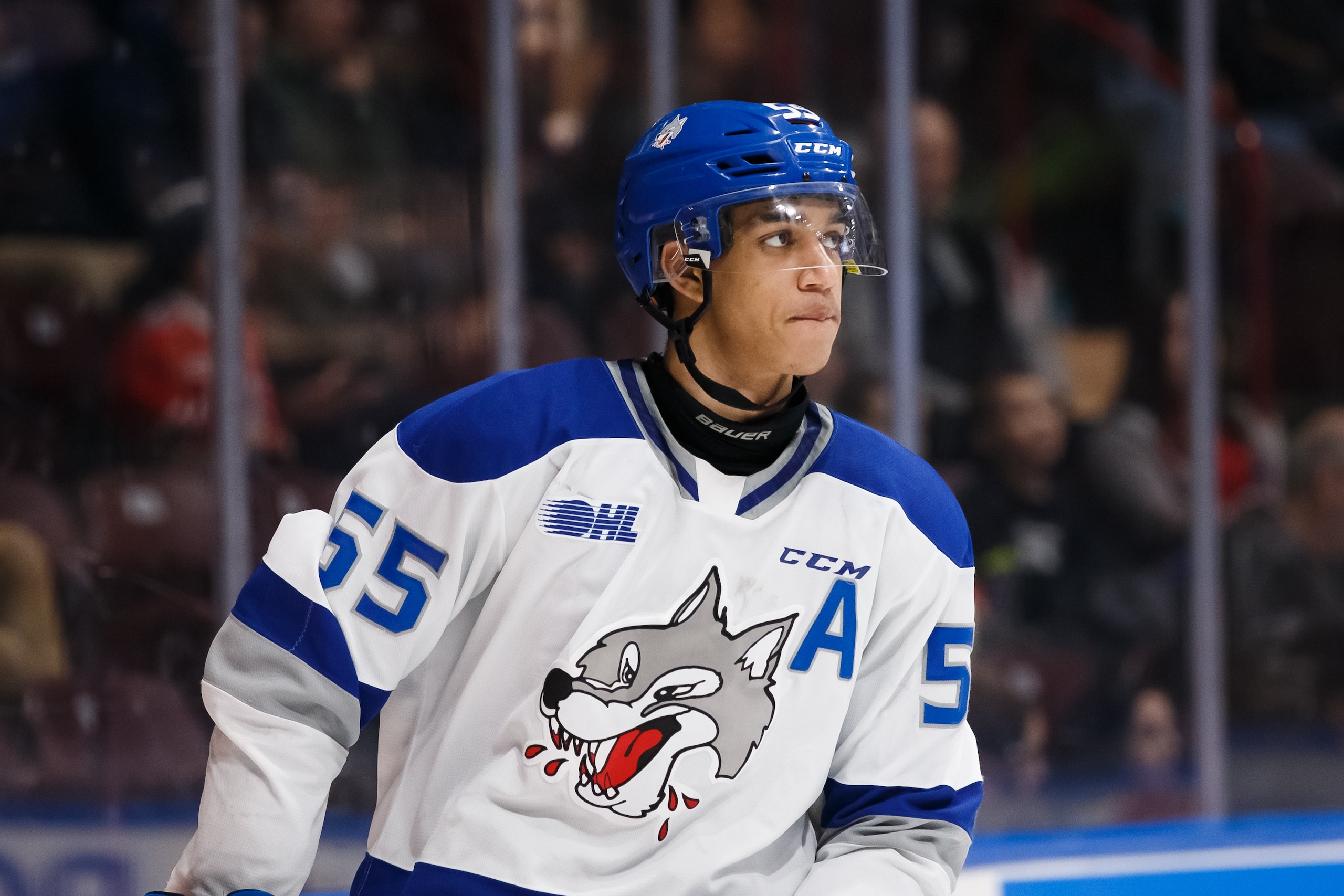 OSHAWA, ON - FEBRUARY 7: Quinton Byfield #55 of the Sudbury Wolves skates during an OHL game against the Oshawa Generals at the Tribute Communities Centre on February 7, 2020 in Oshawa, Ontario, Canada.  (Photo by Chris Tanouye/Getty Images)