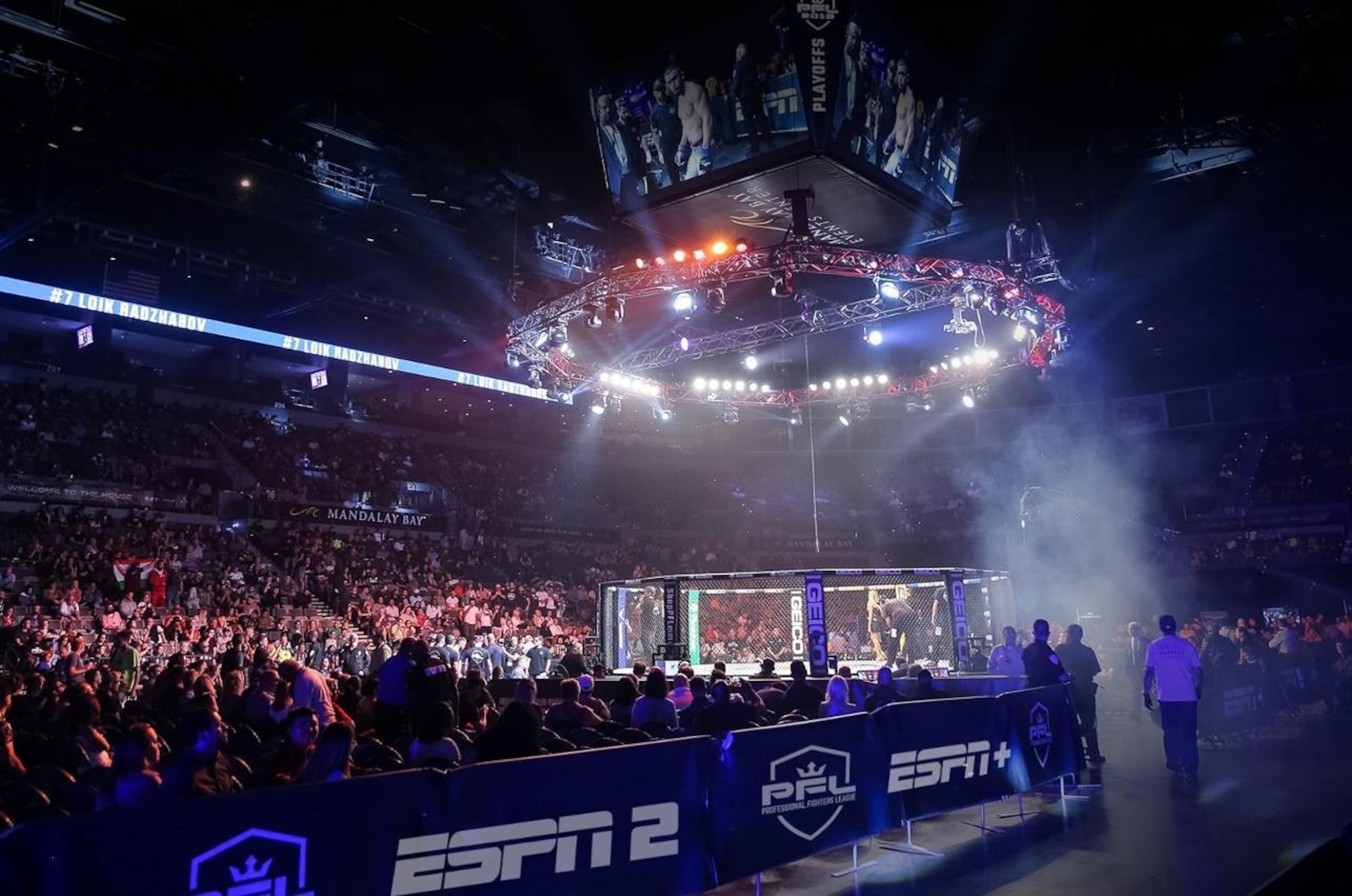 The PFL cage The PFL cage