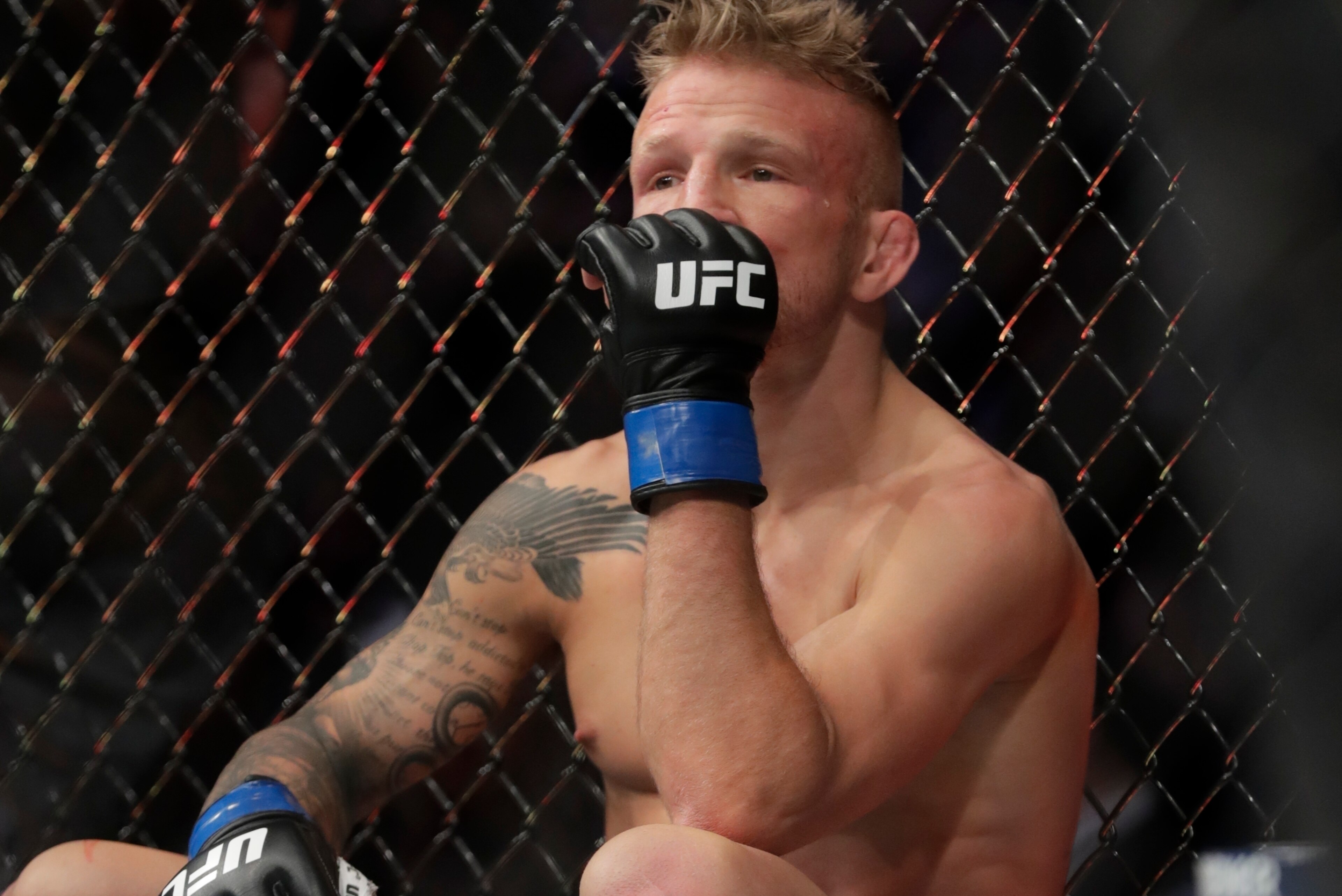 TJ Dillashaw