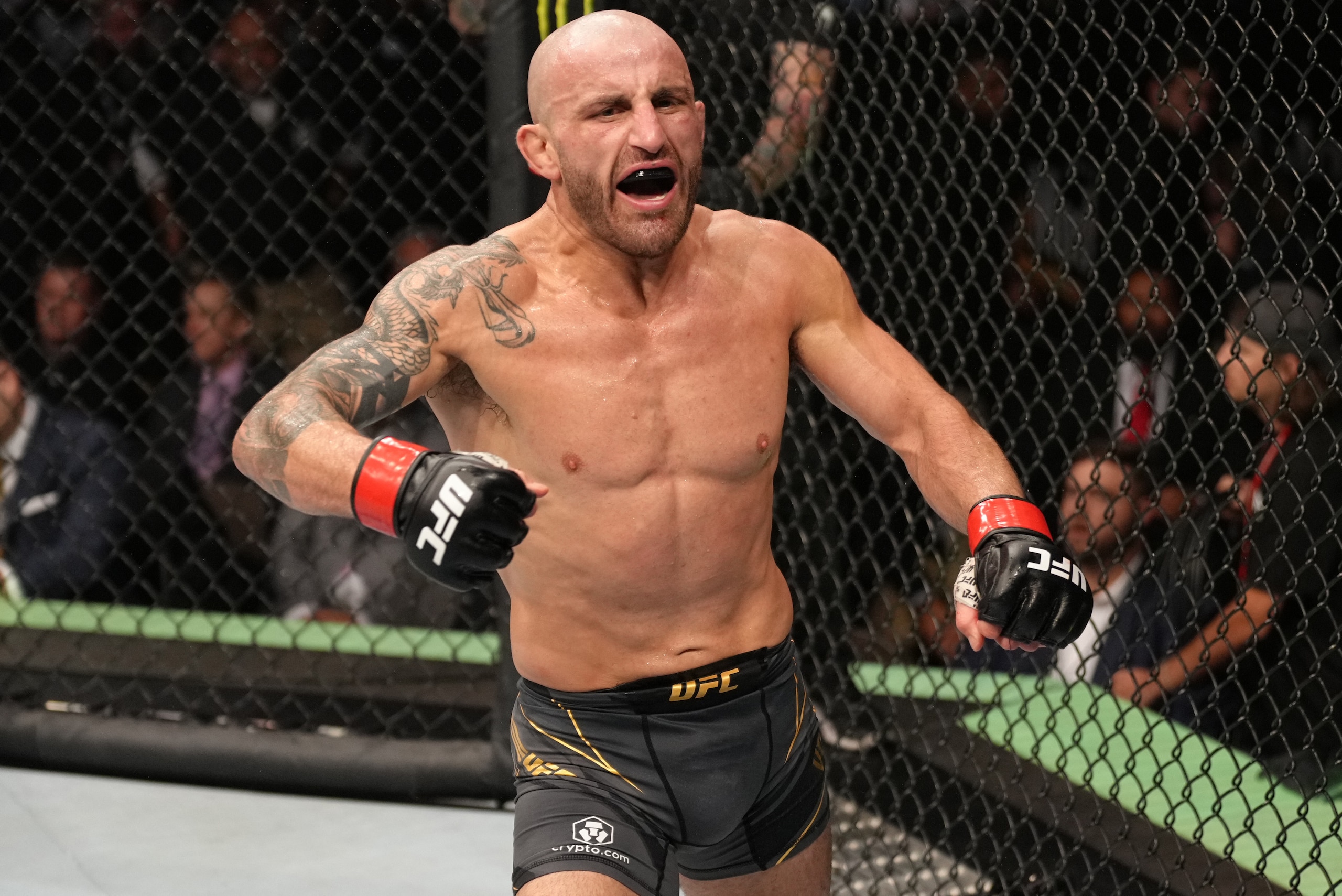 JACKSONVILLE, FLORIDA - APRIL 09: Alexander Volkanovski of Australia celebrates after his victory over 'The Korean Zombie' Chan Sung Jung of South Korea in their UFC featherweight championship fight during the UFC 273 event at VyStar Veterans Memorial Are JACKSONVILLE, FLORIDA - APRIL 09: Alexander Volkanovski of Australia celebrates after his victory over 'The Korean Zombie' Chan Sung Jung of South Korea in their UFC featherweight championship fight during the UFC 273 event at VyStar Veterans Memorial Are