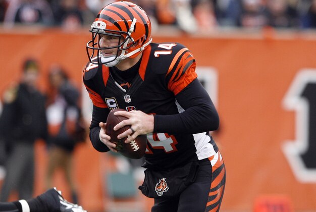 Dec 29, 2013; Cincinnati, OH, USA; Cincinnati Bengals quarterback Andy Dalton (14) runs the ball for a touchdown against the Baltimore Ravens in the second half at Paul Brown Stadium. Cincinnati defeated Baltimore 34-17. Mandatory Credit: Mark Zerof-USA TODAY Sports