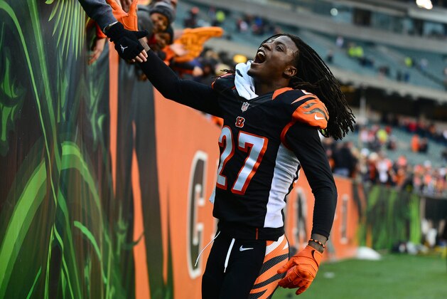 Dec 29, 2013; Cincinnati, OH, USA; Cincinnati Bengals cornerback Dre Kirkpatrick (27) celebrates with fans after defeating the Baltimore Ravens 34-17 at Paul Brown Stadium. Mandatory Credit: Andrew Weber-USA TODAY Sports