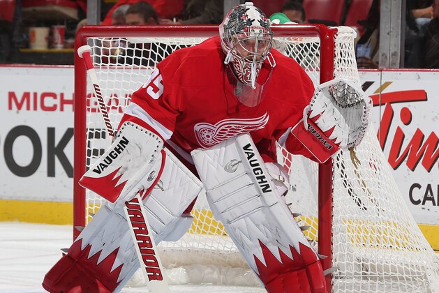 DETROIT, MI - NOVEMBER 15: Jimmy Howard #35 of the Detroit Red Wings follows the play against the Washington Capitals during an NHL game against the Washington Capitals at Joe Louis Arena on November 15, 2013 in Detroit, Michigan. The Capitals defeated the Wings 4-3 in OT (Photo by Dave Reginek/NHLI via Getty Images)