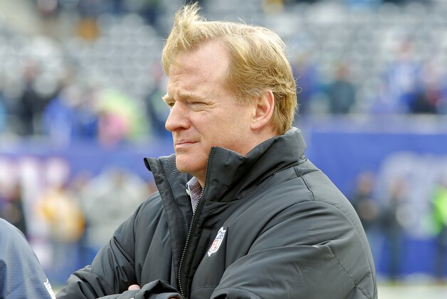 Dec 15, 2013; East Rutherford, NJ, USA;  NFL commissioner Roger S. Goodell prior to game between the New York Giants and the Seattle Seahawks at MetLife Stadium. Mandatory Credit: Jim O'Connor-USA TODAY Sports