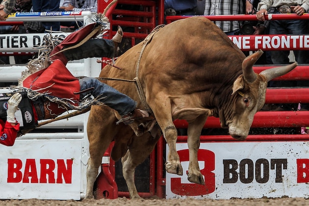July 29, 2012; Cheyenne, WY, USA; J W Harris competes in the bull riding during the Cheyenne Frontier Days Rodeo. Mandatory Credit: Troy Babbitt-USA TODAY Sports