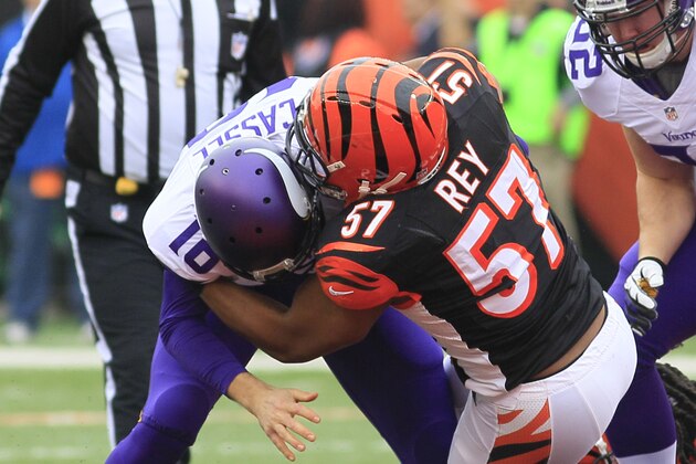 Minnesota Vikings quarterback Matt Cassel (16) fumbles the ball as he is hit by Cincinnati Bengals middle linebacker Vincent Rey (57) in the first half of an NFL football game on Sunday, Dec. 22, 2013, in Cincinnati. Cincinnati recovered the fumble. (AP Photo/Tom Uhlman)