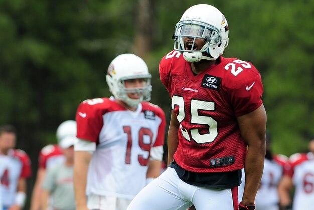 Jul. 28, 2012; Flagstaff, AZ, USA; Arizona Cardinals safety Kerry Rhodes (25) reacts during training camp practice on the campus of Northern Arizona University.  Mandatory Credit: Jennifer Stewart-USA TODAY Sports