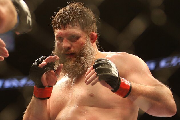Jun 15, 2013; Winnipeg, MB, Canada; Roy Nelson fights Stipe Miocic (not pictured) during their Heavyweight bout at UFC 161 at MTS Centre. Mandatory Credit: Tom Szczerbowski-USA TODAY Sports