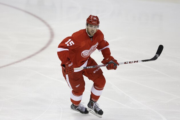 Detroit Red Wings center Riley Sheahan (15) skates during the third period of an NHL hockey game against the Anaheim Ducks in Detroit, Tuesday, Dec. 17, 2013. (AP Photo/Carlos Osorio)
