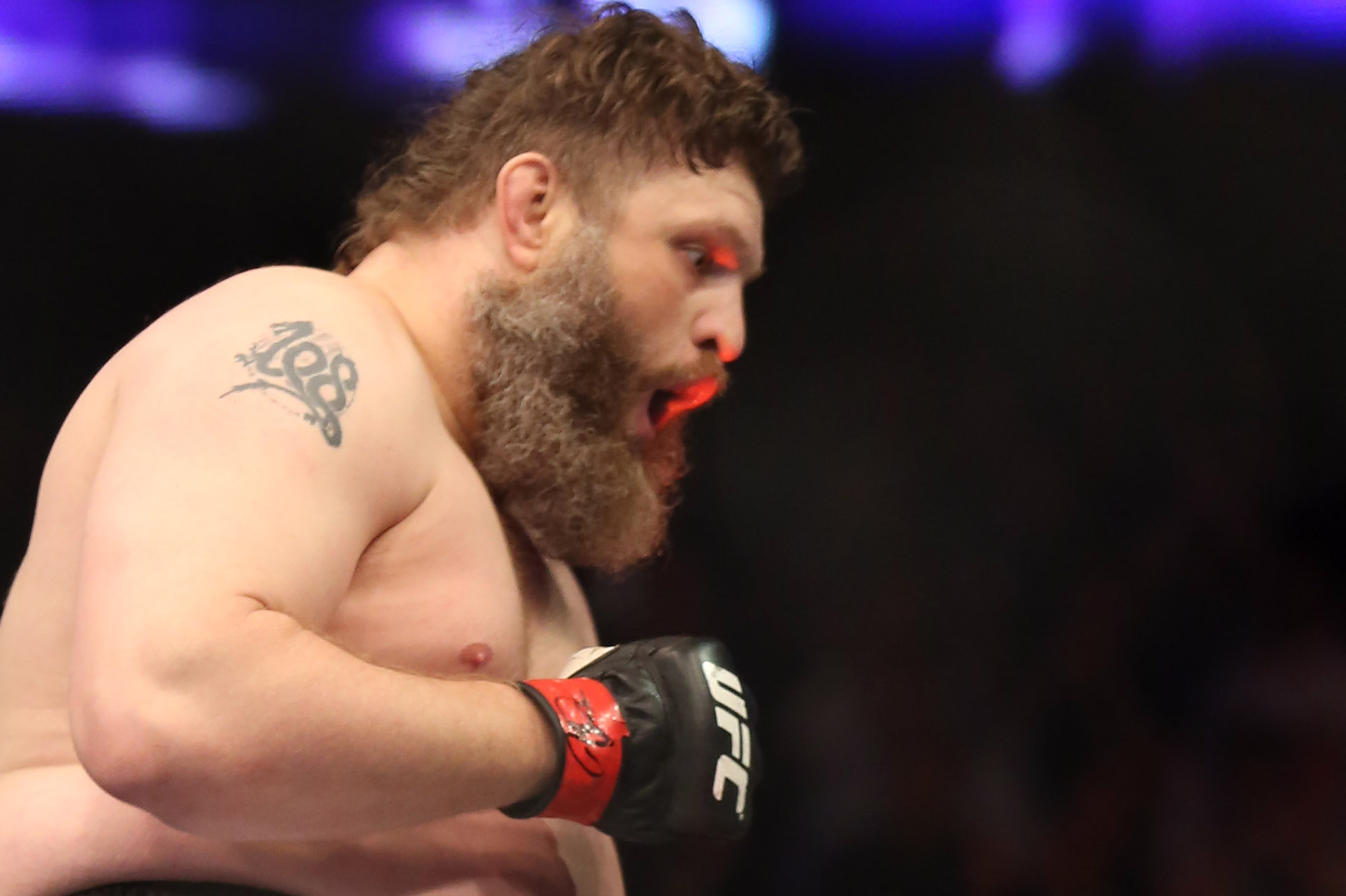 Roy Nelson celebrates his win over Cheick Kongo after their UFC 159 Mixed Martial Arts heavyweight bout in Newark, NJ, Saturday, April 27,2013.  Nelson won via first round KO. (AP Photo/Gregory Payan)