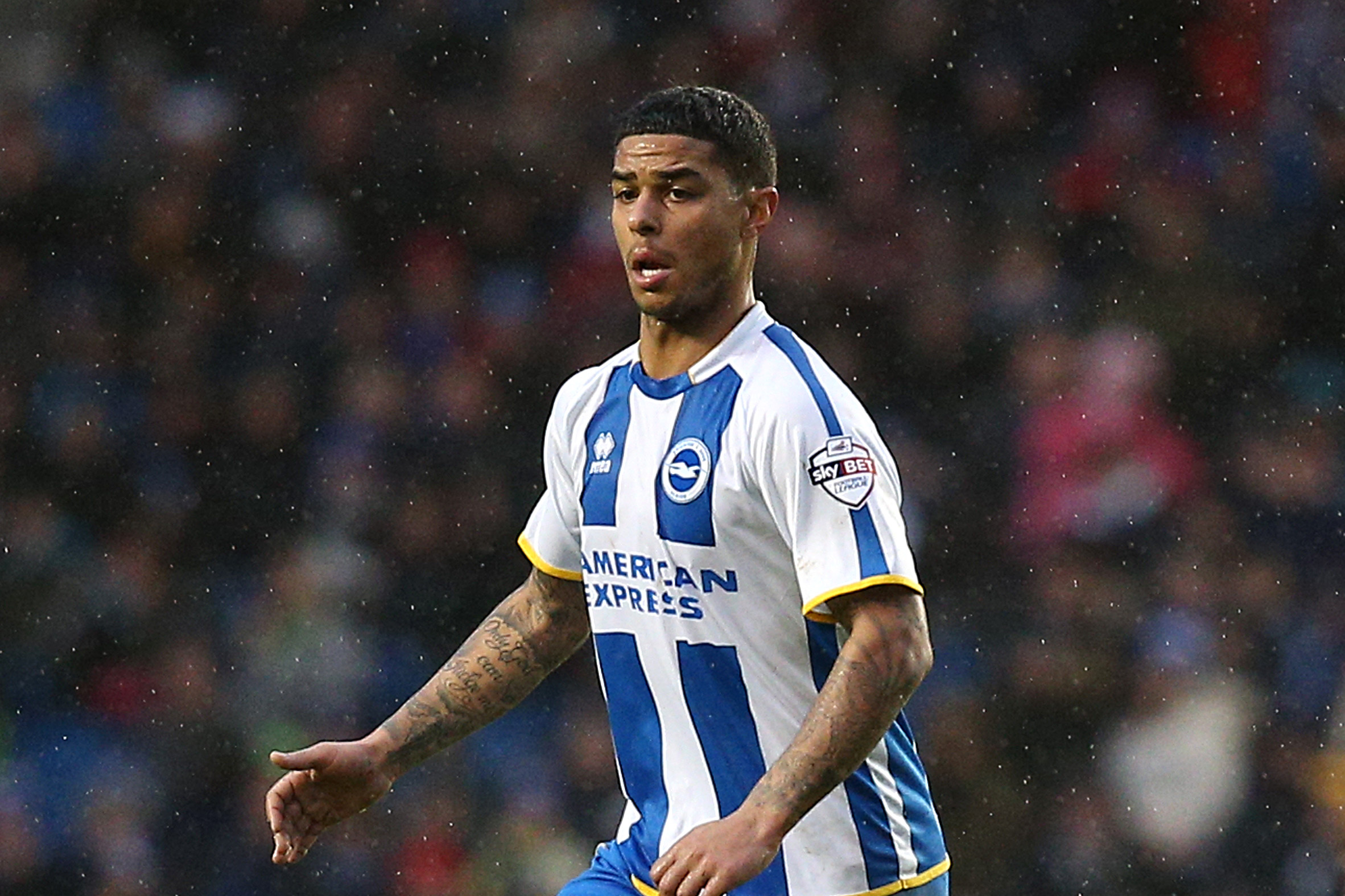 BRIGHTON, ENGLAND - JANUARY 01: Liam Bridcutt of Brighton looks to attack during the Sky Bet Championship match between Brighton & Hove Albion and AFC Bournemouh at The Amex Stadium on January 01, 2014 in Brighton, England. (Photo by Charlie Crowhurst/Getty Images)