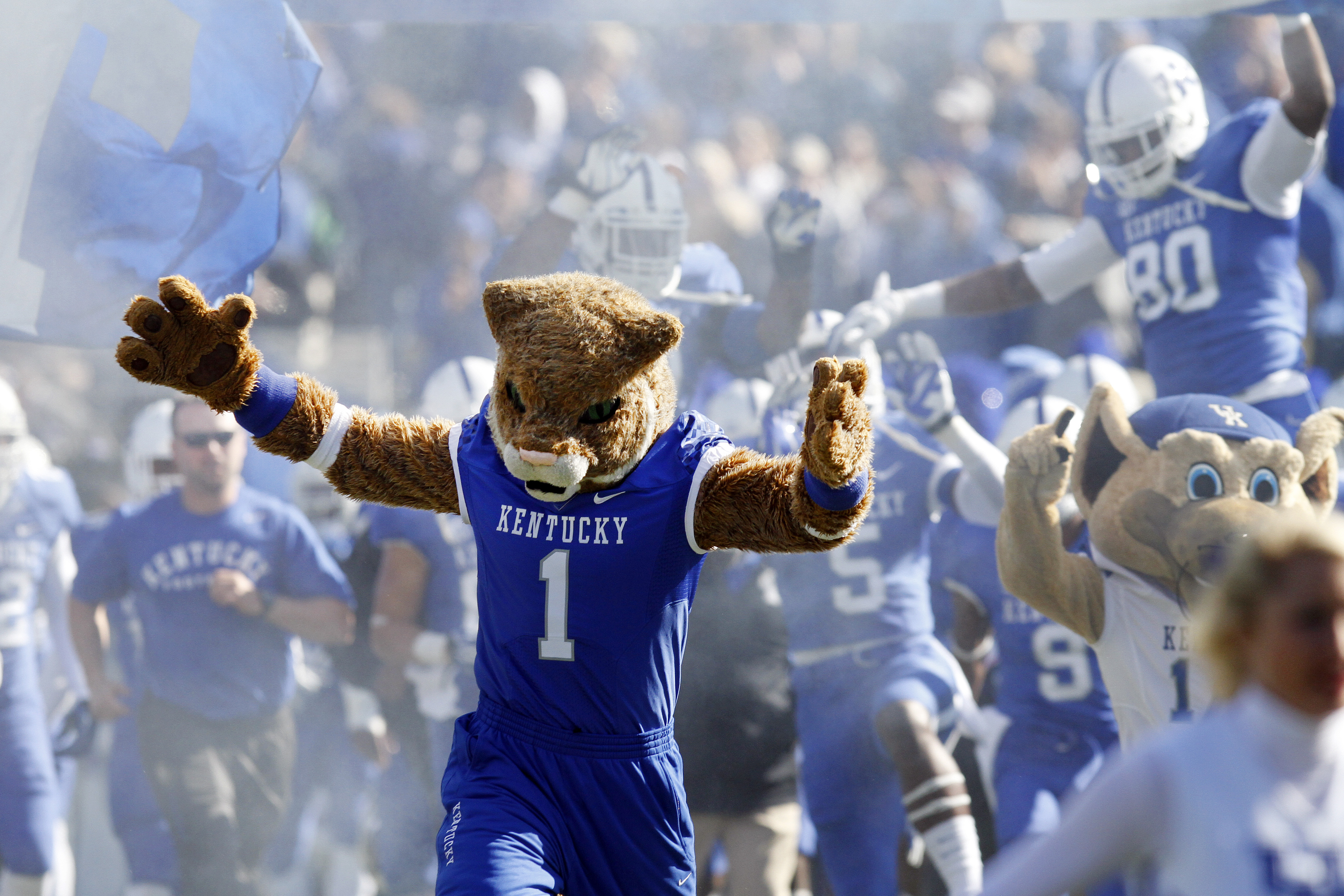 The Kentucky Wildcat mascot leads the team onfield before an NCAA college football game against Missouri, Saturday, Nov. 9, 2013, in Lexington, Ky. (AP Photo/James Crisp)