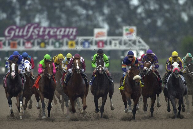 10 Mar 2001:  The starting field heads down the front straight away during Florida Derby at Gulfstream Park in Hallandale, Florida. <DIGITAL IMAGE> Mandatory Credit: Matthew Stockman/ALLSPORT