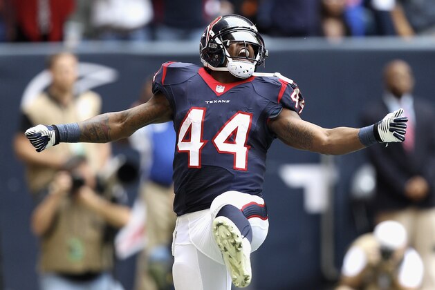 HOUSTON, TX - DECEMBER 01:  Ben Tate #44 of the Houston Texans celebrates afte scoring on a 7 yard run in the first quarter against the New England Patriots at Reliant Stadium on December 1, 2013 in Houston, Texas.  (Photo by Bob Levey/Getty Images)