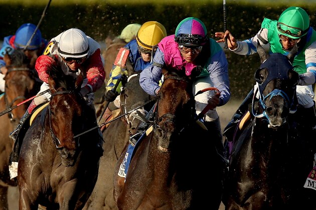 HALLANDALE, FL - MARCH 30:  Orb #6 (L), riden by John Velazquez, comes aound turn four behind Itsmyluckyday #3, riden by Elvis Trujillo, and Narvaez #10, riden by Rajiv Maragh, during the Florida Derby at Gulfstream Park on March 30, 2013 in Hallandale, Florida.  (Photo by Matthew Stockman/Getty Images)