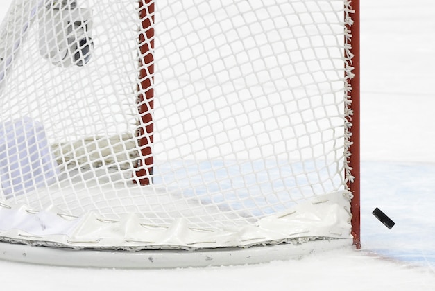 Feb 20, 2014; Sochi, RUSSIA; A shot from USA towards an empty Canada net hits the post in the third period in the women's ice hockey gold medal game during the Sochi 2014 Olympic Winter Games at Bolshoy Ice Dome. Mandatory Credit: Scott Rovak-USA TODAY Sports