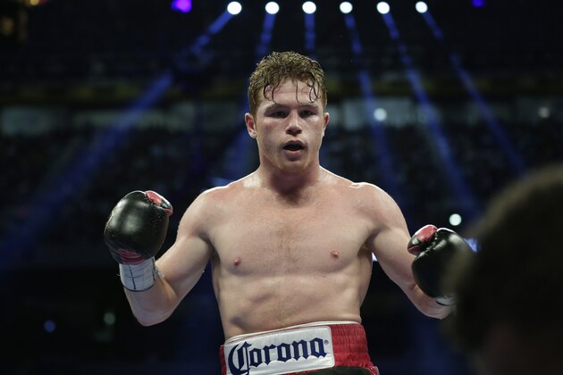 Boxer Saul
