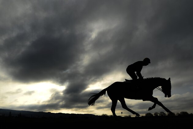 CHELTENHAM, ENGLAND - MARCH 10: Horse and rider on the gallops at Cheltenham racecourse on March 10 2014 in Cheltenham, England. (Photo by Alan Crowhurst/Getty Images)