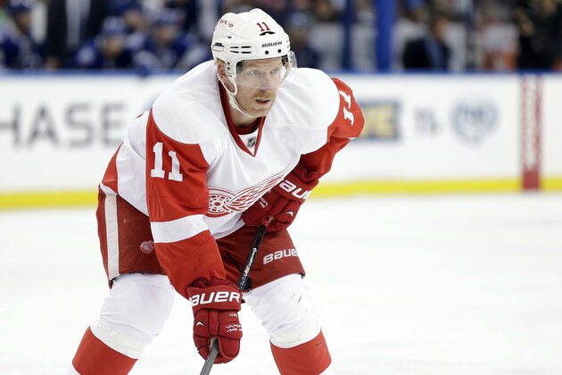 Detroit Red Wings right wing Daniel Alfredsson (11), of Sweden, during the first period of an NHL hockey game against the Tampa Bay Lightning Thursday, Dec. 12, 2013, in Tampa, Fla. (AP Photo/Chris O'Meara)