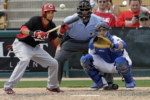 Cincinnati Reds' Billy Hamilton squares to bunt in the sixth inning of a spring exhibition baseball game against the Los Angeles Dodgers Thursday, March 13, 2014, in Glendale, Ariz. (AP Photo/Mark Duncan)