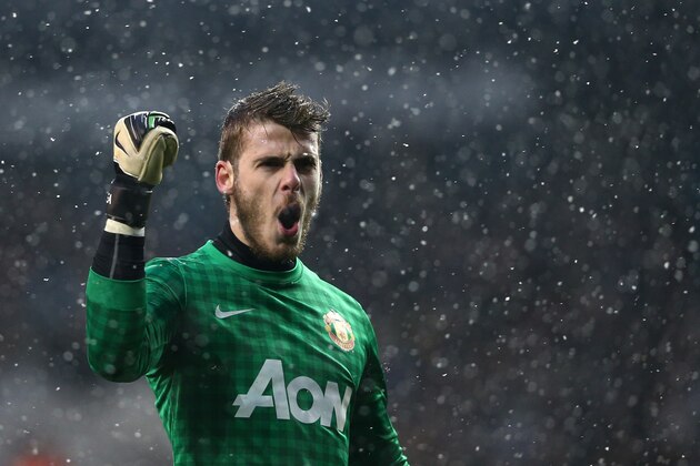 LONDON, ENGLAND - JANUARY 20:  David De Gea of Manchester United celebrates as Robin van Persie of Manchester United scores the opening goal during the Barclays Premier League match between Tottenham Hotspur and Manchester United at White Hart Lane on January 20, 2013 in London, England.  (Photo by Clive Mason/Getty Images)