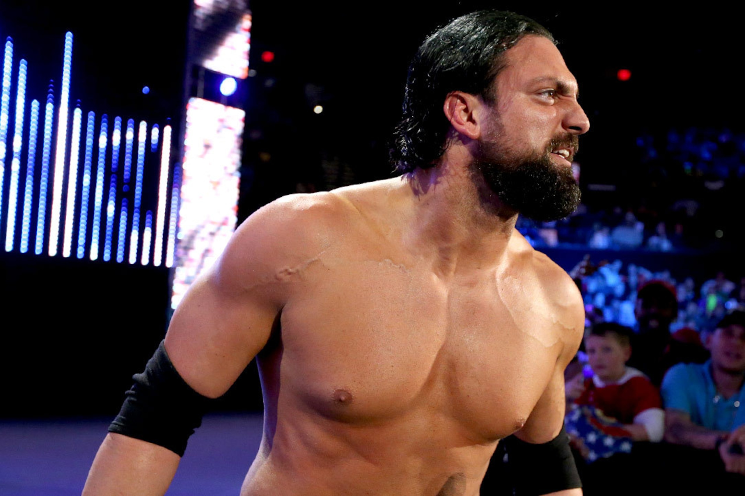Damien Sandow