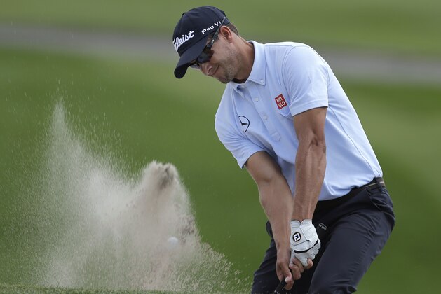 Adam Scott, of Australia, blasts out of the sand trap on the seventh hole during the second round of the Arnold Palmer Invitational golf tournament at Bay Hill Friday, March 21, 2014, in Orlando, Fla. (AP Photo/Chris O'Meara)