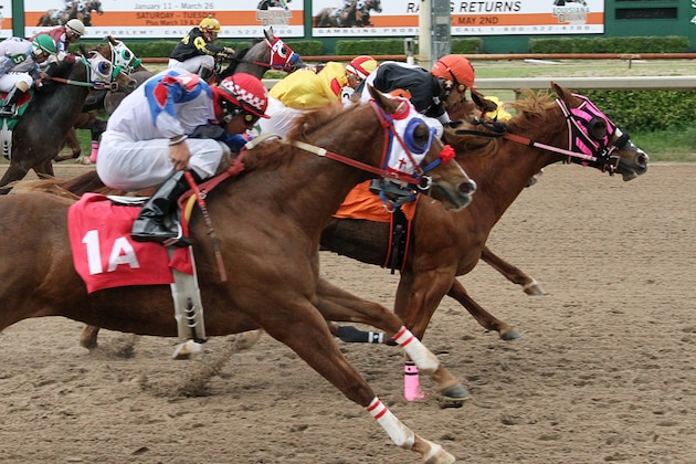 In this photo released by Hodges Photography, Gotta Run Miss with Eddi Martinez aboard manages to hold off Meduzza with Saul Ramirez, Jr. (yellow and red silks) up and Jmf Shazoomer with Juan Garcia, Jr. (white, red and blue silks) up to win the eighth running of the Harrah's Futurity horse race at Louisiana Downs, Saturday, March 22, 2014, in New Orleans. (AP Photo/Hodges Photography, Lynn Roberts)