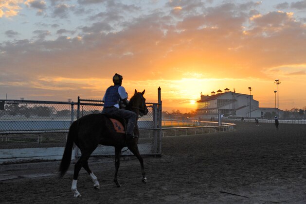 A horse and rider are shown as the sun rises at the Fair Grounds Race Course in New Orleans, La., early Wednesday, March 11, 2009. The $600,000 Grade II Louisiana Derby is the featured race on Saturday,  featuring some of the top three-year-old horses in the country. (AP Photo/Alexander Barkoff)