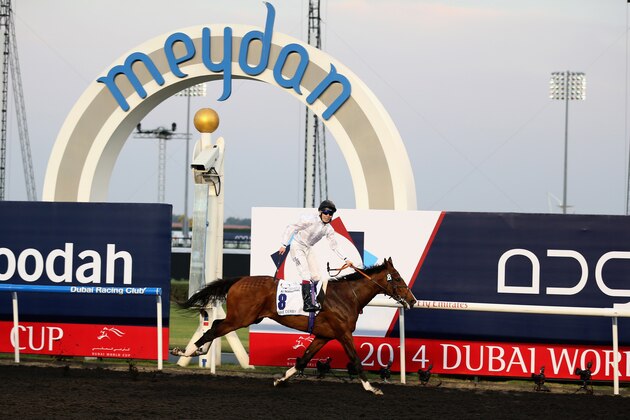 DUBAI, UNITED ARAB EMIRATES - MARCH 29:  Toast of New York ridden by Jamie Spencer wins the UAE Derby during the Dubai World Cup at the Meydan Racecourse on March 29, 2014 in Dubai, United Arab Emirates.  (Photo by Warren Little/Getty Images)