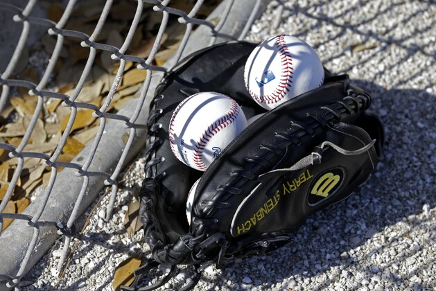 A glove and balls sit along the fense as the Minnesota Twins warm-up before an exhibition baseball game in Fort Myers, Fla., Wednesday, March 12, 2014. (AP Photo/Gerald Herbert)