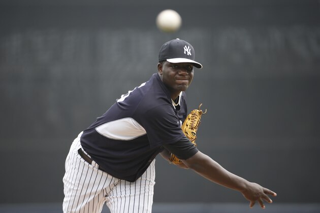 New York Yankees starting pitcher Michael Pineda (35) delivers a warmup pitch before his start against the Toronto Blue Jays in a spring exhibition baseball game in Tampa, Fla., Sunday, March 23, 2014.  (AP Photo/Kathy Willens)
