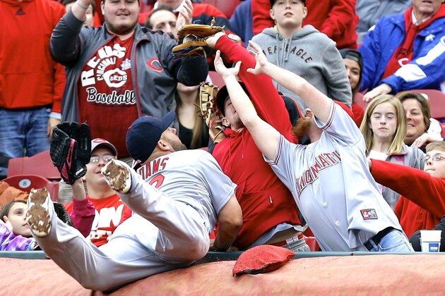 St. Louis Cardinals first baseman Matt Adams falls into the stands while trying to catch a foul ball hit by Cincinnati Reds' Chris Heisey that was caught by a fan in the third inning of a baseball game on Thursday, April 3, 2014, in Cincinnati. (AP Photo/Al Behrman)