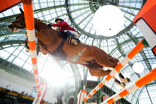PARIS, FRANCE - MARCH 16:  Pius Schwizer of Switzerland on Quidam Du Vivier in action during the Prix de la Ville de Paris during the third day of the Grand Prix Hermes of Paris at Grand Palais on March 16, 2014 in Paris, France.  (Photo by David Ramos/Getty Images)